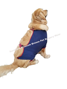 SureCare® Pet Post Surgery Wear