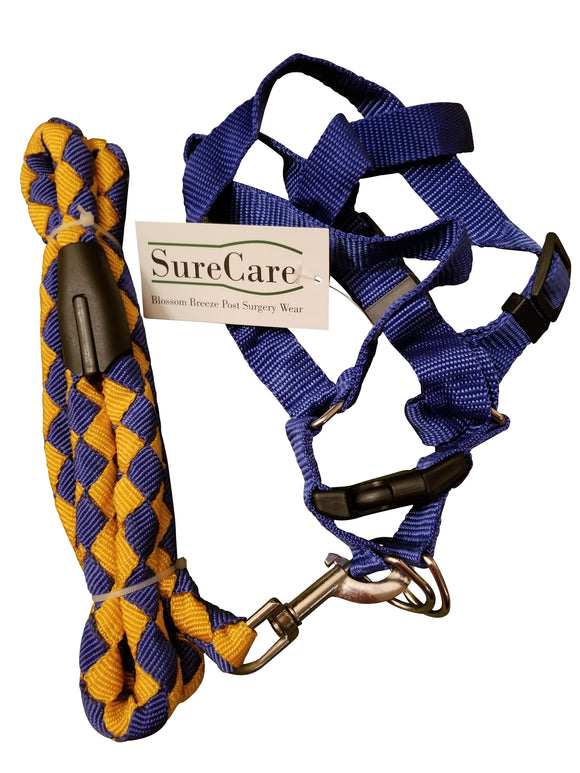 SureCare Large Dog Leash and Blue Adjustable Harness